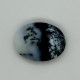 Dendrite 9.21 Ct Lab Tested Dendrite 9.21 Ct Lab Tested
